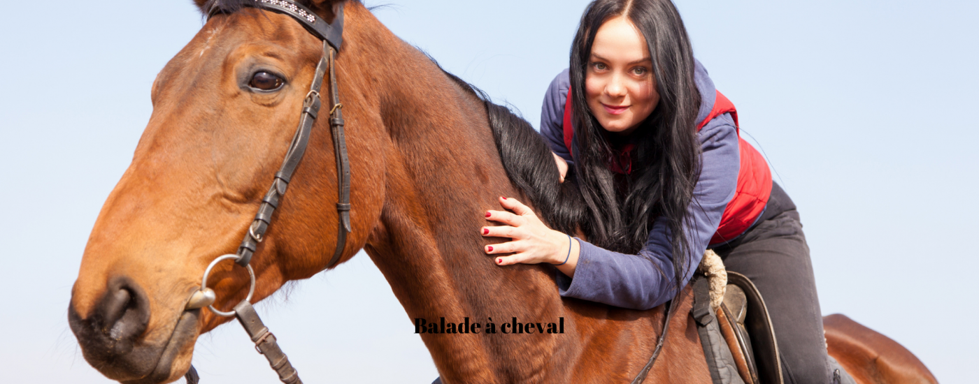 Article de blog balade à cheval en Camargue dans le Sud de la France