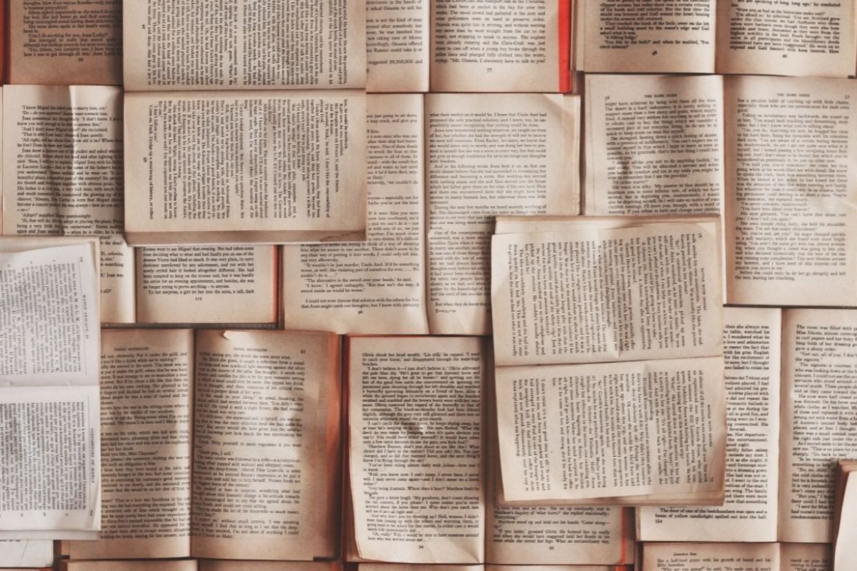 Here is a series of bestselling books in France during the year 2019