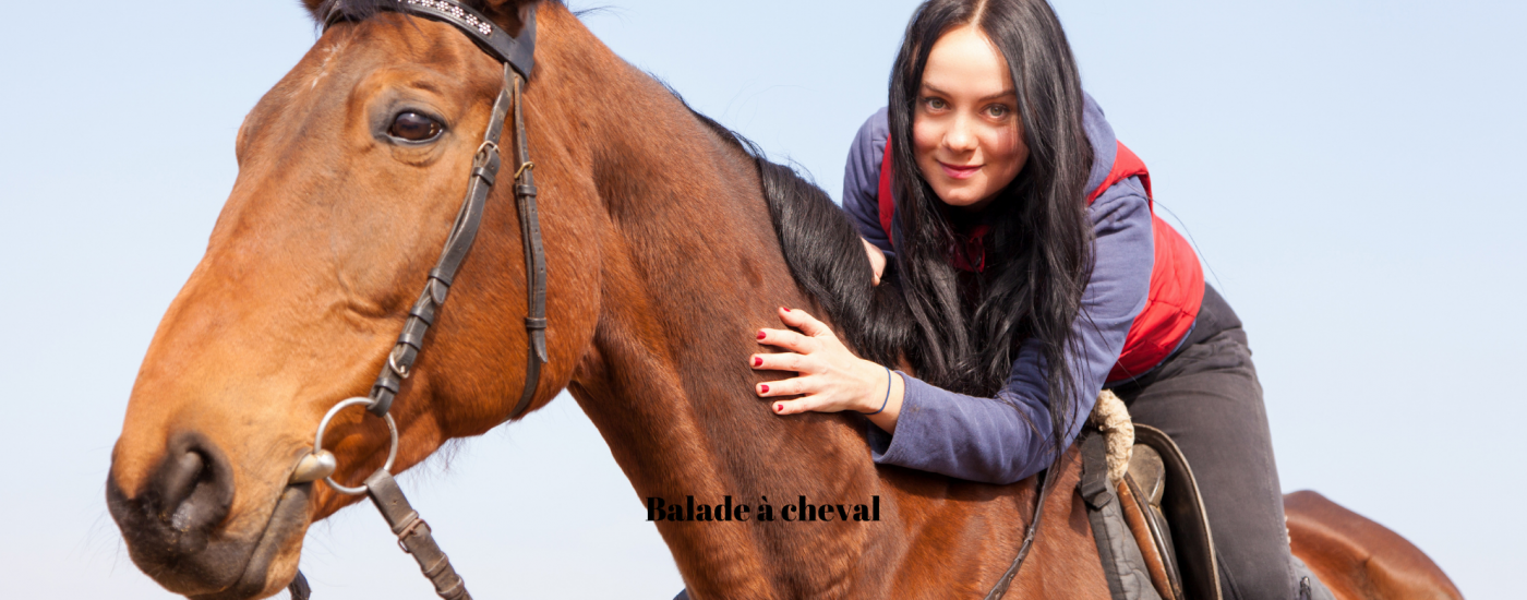 Blog post horseback riding in the Camargue in the South of France