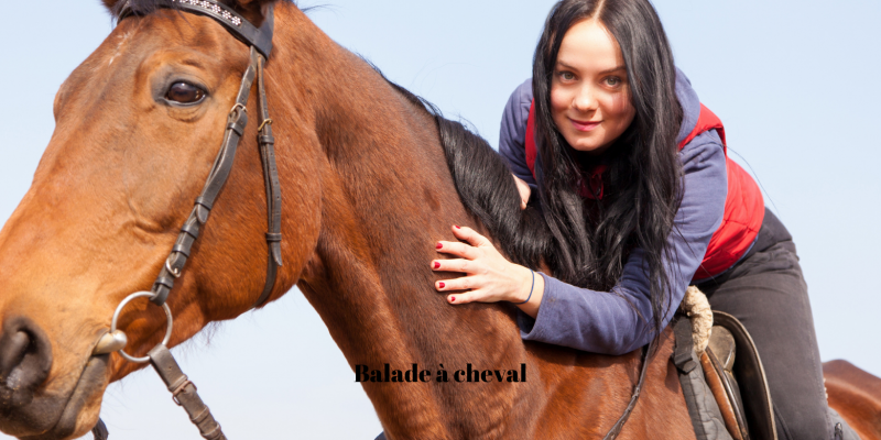 Horseback riding in the Camargue