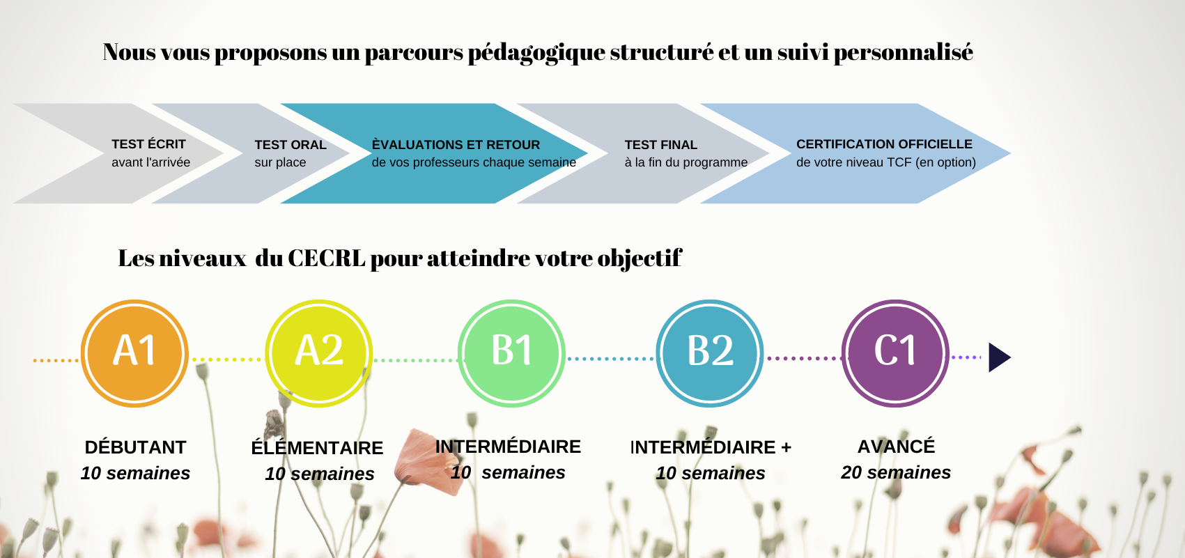 APRENDER FRANCÊS] COMO DAR ORDEM OU CONSELHO EM FRANCÊS 